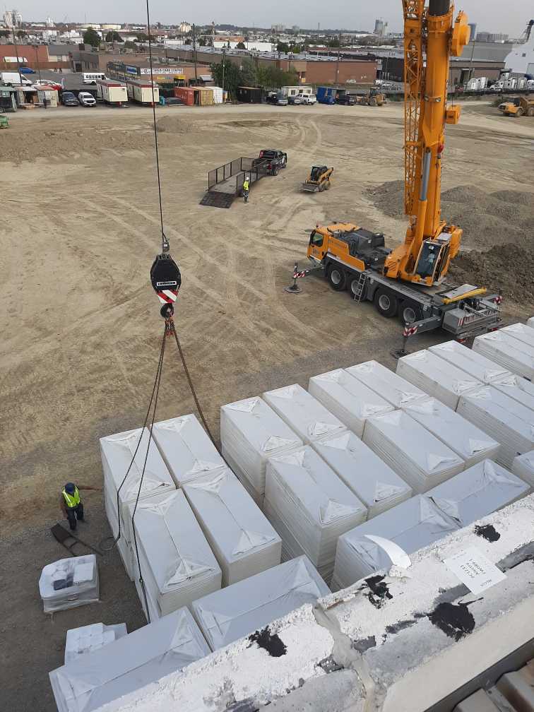 Brampton TPO December 2022