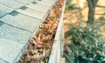 Safe-Vac Gutter Cleaning Service